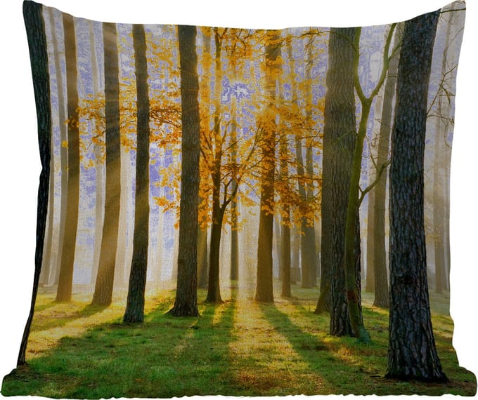 Tuinkussen - Bos - Zon - Bomen - Gras - Landschap - Natuur - 40x40 cm - Weerbestendig