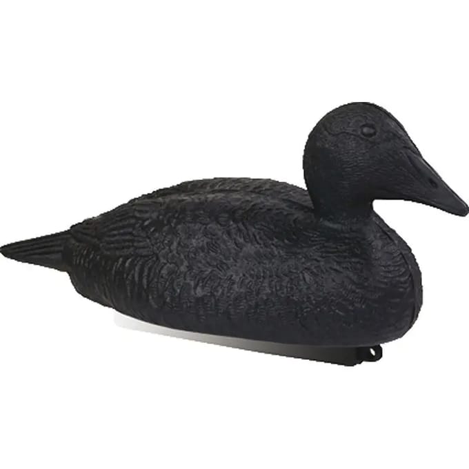 Eiderankers Stepland (x12)