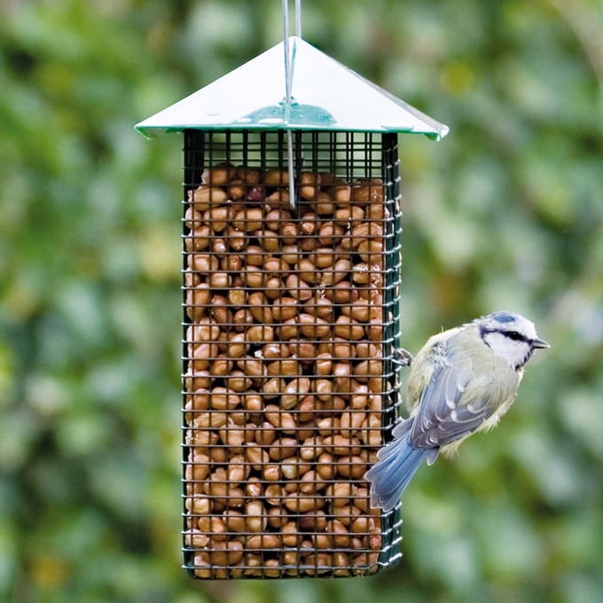 CJ Wildlife - Pindahuisje - Groen - Metaal - Vogelvoederplek