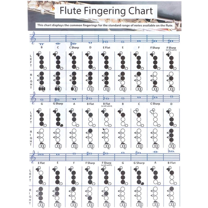 Fluit Vingerzetting Akkoorddiagram Beginner Student Oefening Lesmateriaal Instrument gray