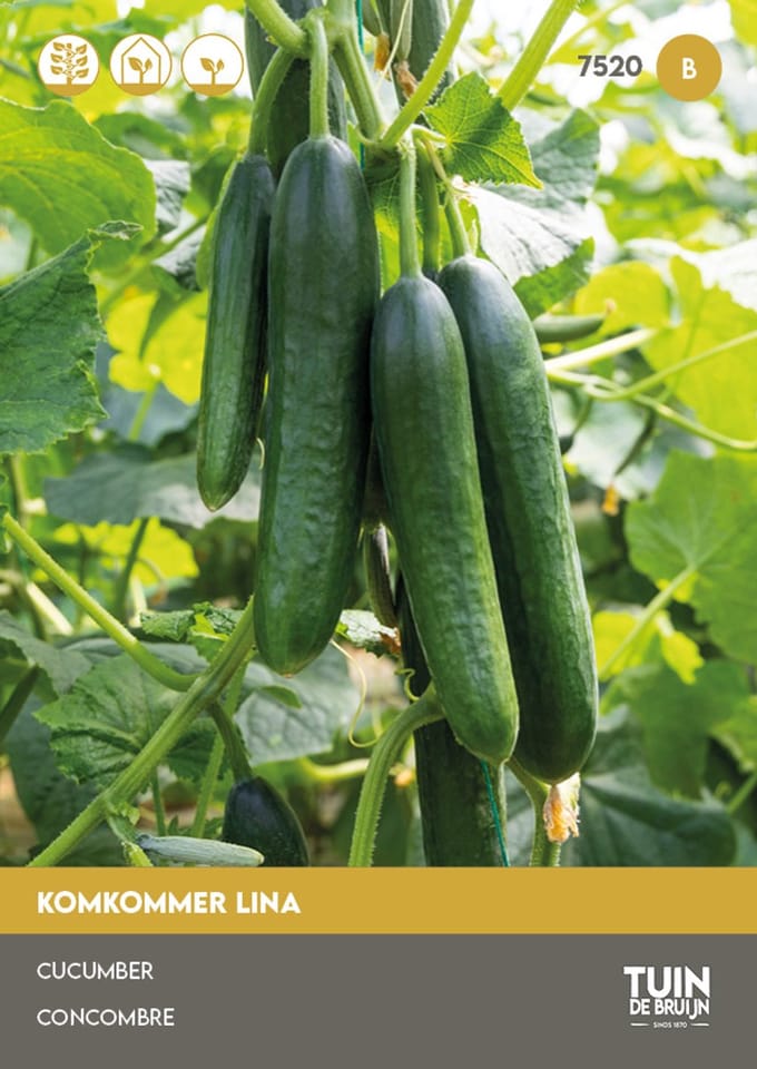 Tuin de Bruijn Komkommer Lina – 10 Zaden – Kas & Volle Grond