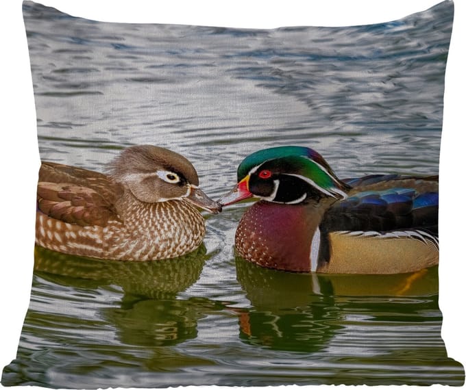 Tuinkussen - Eend - Vogels - Water - Veren - Dieren - 40x40 cm - Weerbestendig