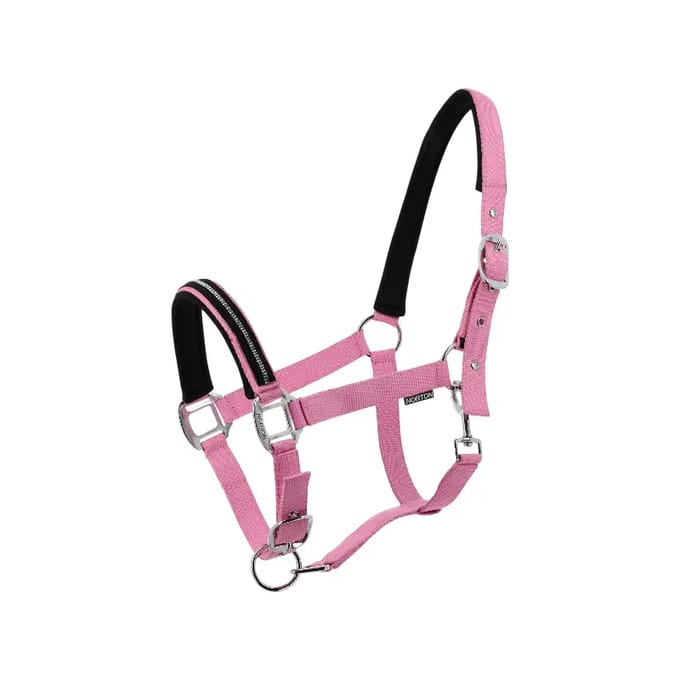 Halster voor paarden Norton Crystal