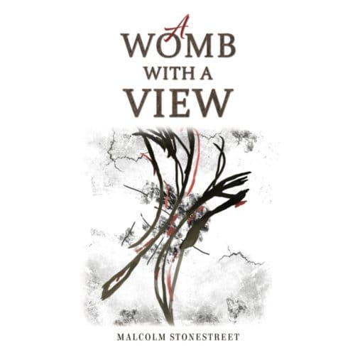 A Womb With A View - Malcolm Stonestreet