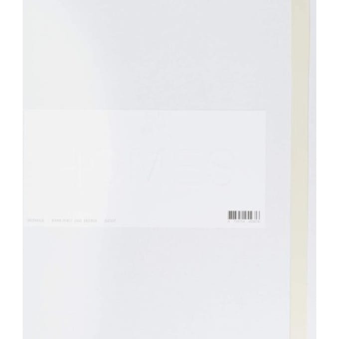 Greyheads - Homes (LP) (Limited Edition)
