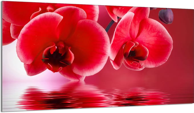 TMK ArtDeko - Orchidee Snijplank - 90x52 cm - Hittebestendig Glas - Antibacterieel