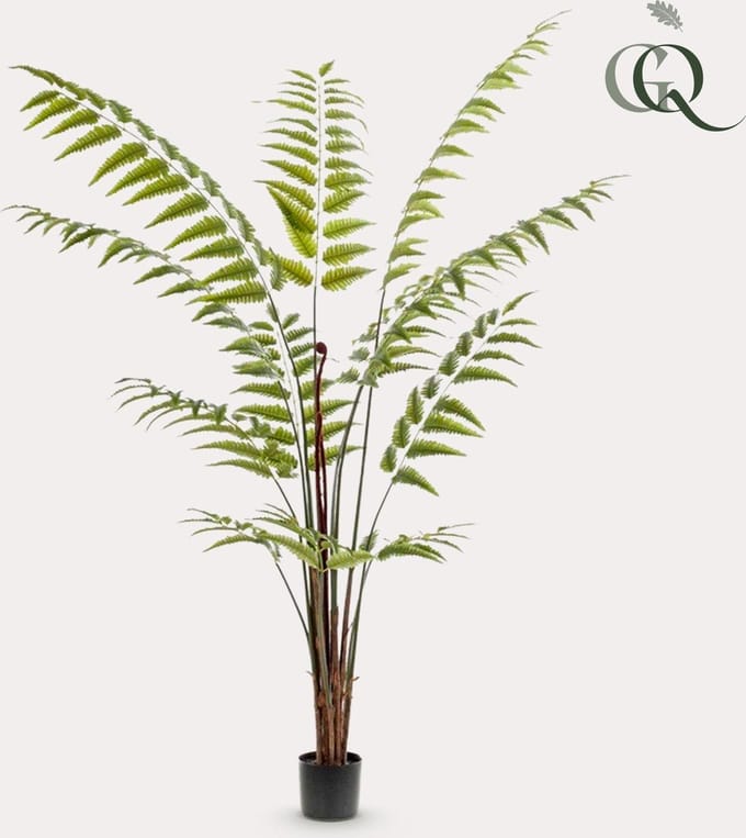Kunstplant - Rumohra Adiantiformis - Ledervaren - 180 cm