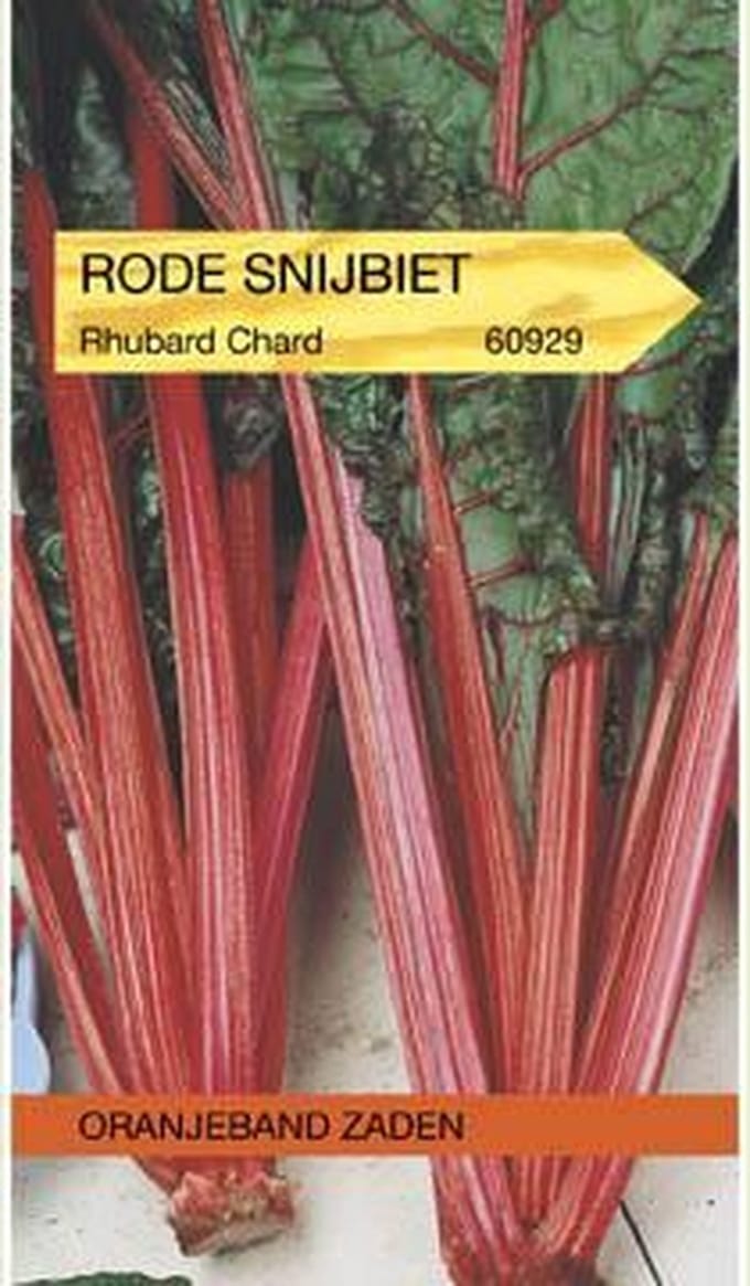 Oranjebandzaden -  Snijbiet Rhubarb Chard
