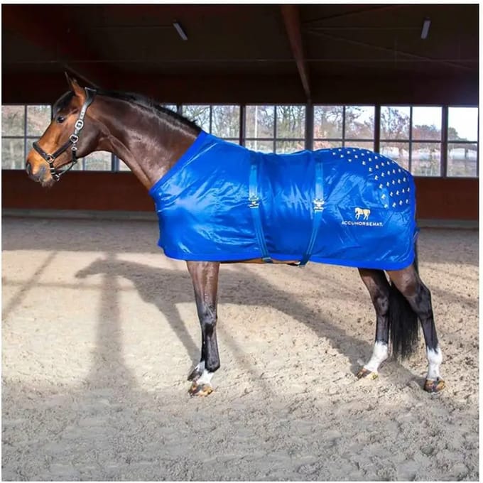 Acupressuurmat voor de rug Accuhorsemat Original