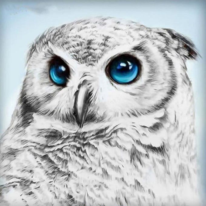 Peinture de diamant d'animaux, image de strass, broderie de hibou, affichage complet, décoration de maison 30x30CM gray