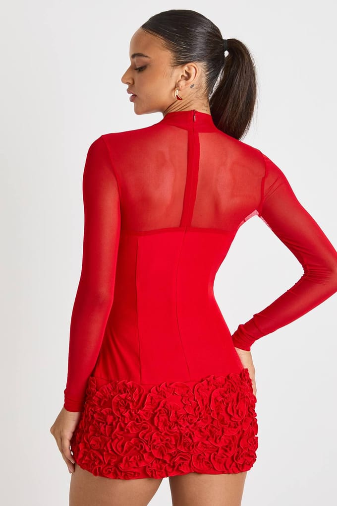 boohoo Dames 3D Bloemen Mesh met panelen Mini Jurk | Red | Maat: 14