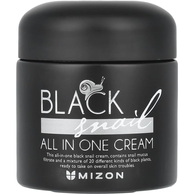 MIZON Black Snail Crème Tout-en-Un 75 ml - crème pour le visage au mucus d'escargot africain