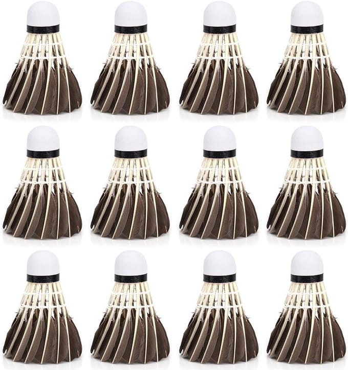12 Professionele Badminton Shuttlecock Set - Herbruikbare Veerballen voor Beginners en Training