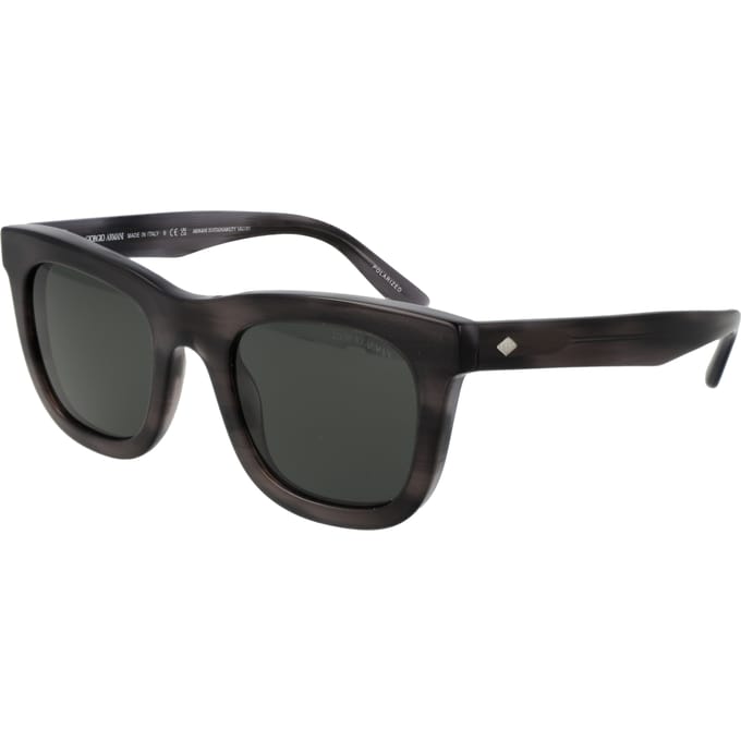 Zonnebril Emporio Armani Zonnebril 0AR8171 5964P2 49