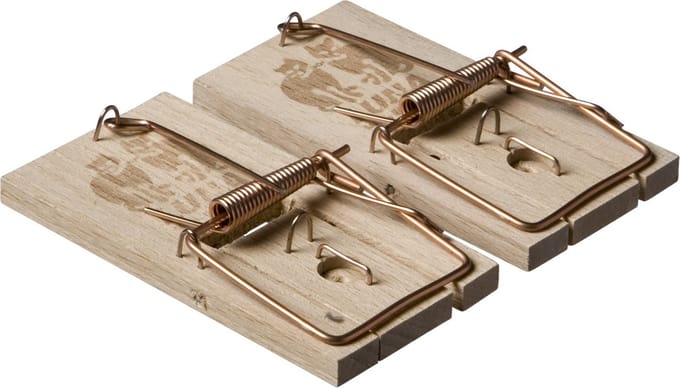Luna Muizenval Hout - Ongediertebestrijding - 2 stuks