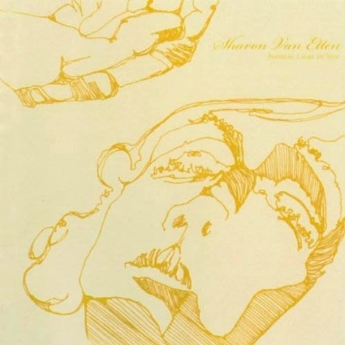 Sharon Van Etten - Because I Was In Love (LP)