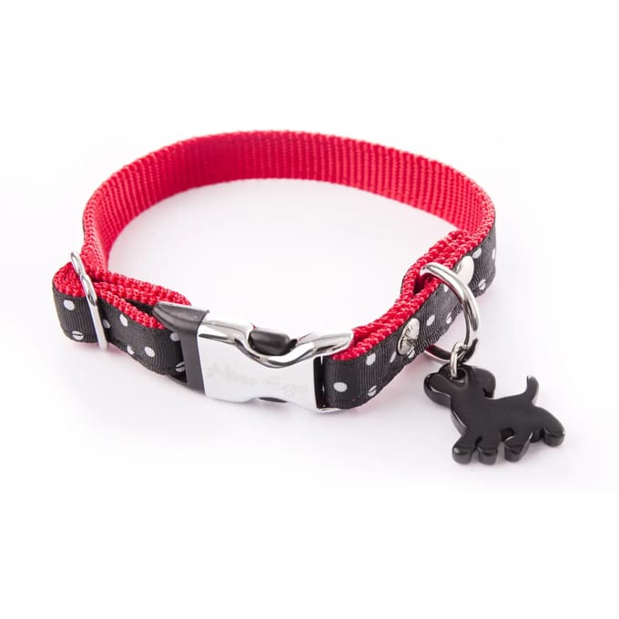 Hondenhalsband met stippen Alter Ego S