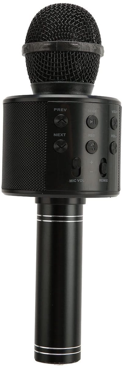 Dailygoods- Microfoon Draadloos - Karaoke Microfoon - Bluetooth Microfoon - Microfoon met AUX - Microfoon met USB - Helder Geluid