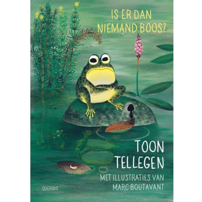 Is Er Dan Niemand Boos? - Boos - Toon Tellegen