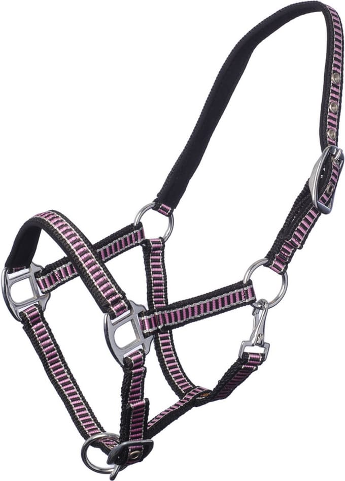 MHS Halster Shine Bright Mini Jaarling Zwart / Roze