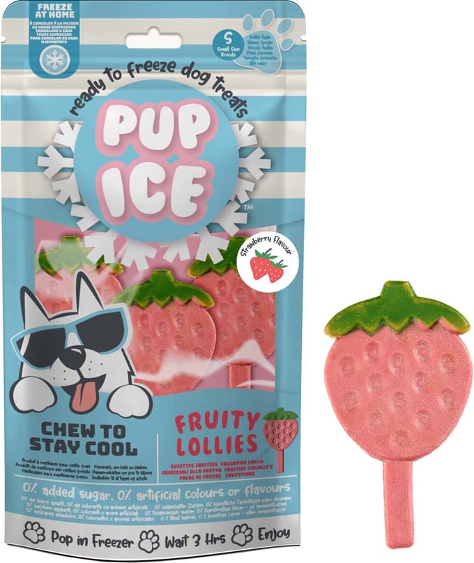 Pup Ice Hondenijsje Fruit Lollie Aardbei