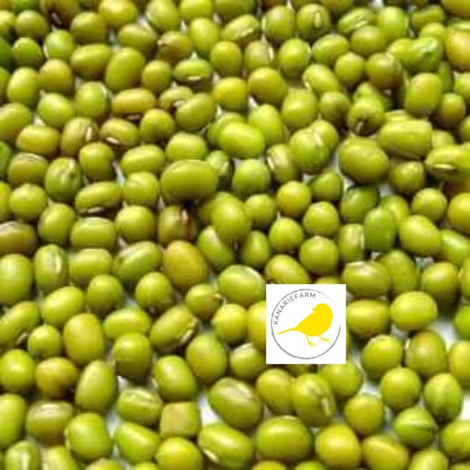 Binnenvogel- Vogelvoer- Kiemzaad- Kadjang Idjoe- Mungbonen- 2 Kilo