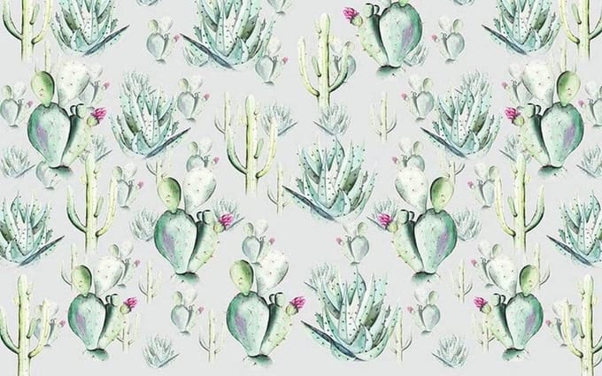 Fotobehang - Cactus Grey 400x250cm - Vliesbehang