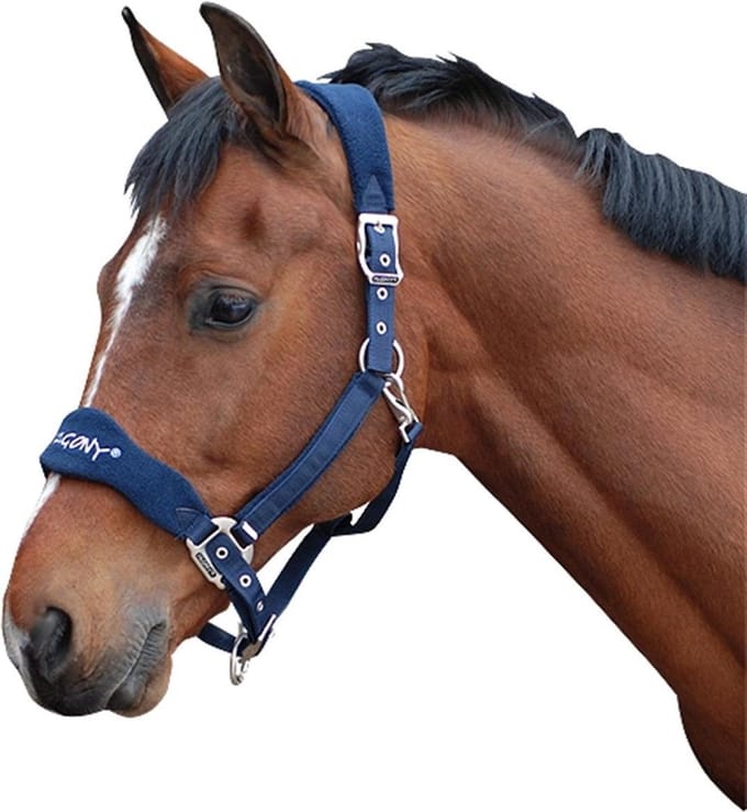 Pagony Halster Reno - Maat: Cob - Donkerblauw - Nylon
