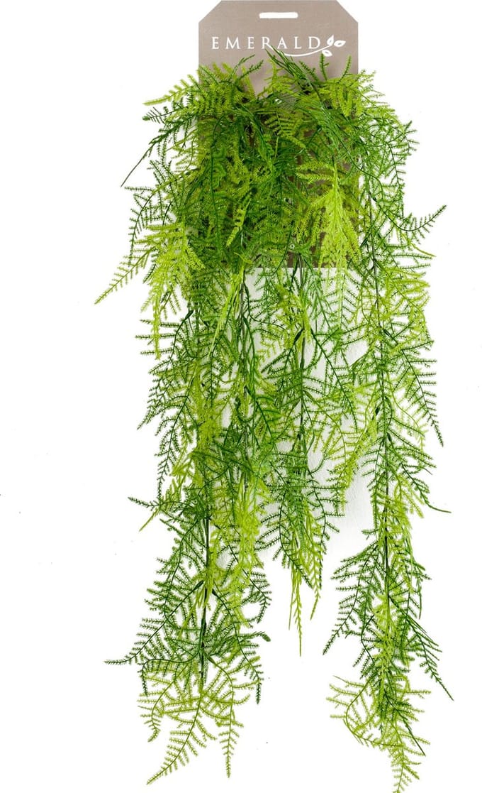 Emerald - Kunst Hangplant Asparagus Plumosus 80cm - Kunstplant voor binnen