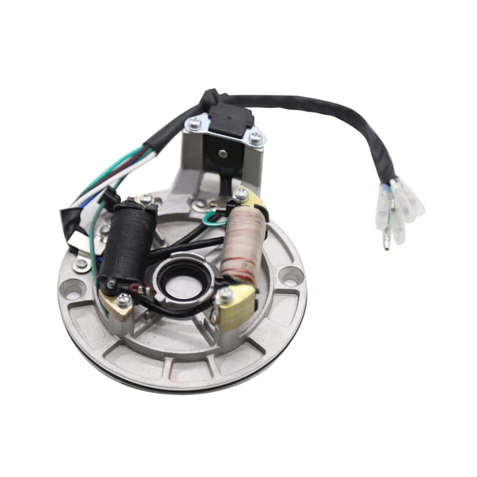 Magneto Stator voor 49cc 50cc 70cc 90cc 110cc 125cc Kick Start Crossmotor Horizontale Motor zwart