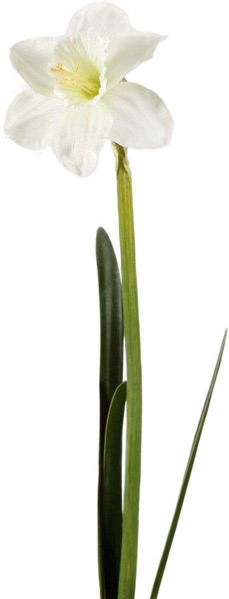 Viv! Home Luxuries Narcis - zijden bloem - wit - 57cm