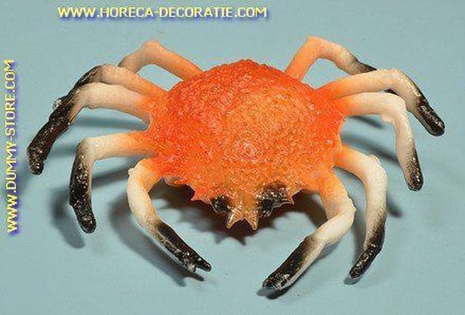 Krab, (C1) - 200x200 mm - Visdummy