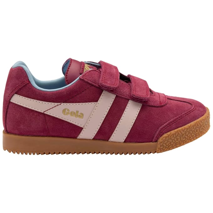 Kindertrainers Gola Harrier