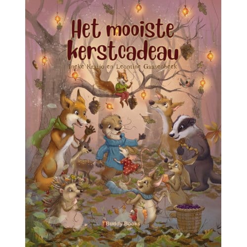 Het Mooiste Kerstcadeau - Ineke Kraijo
