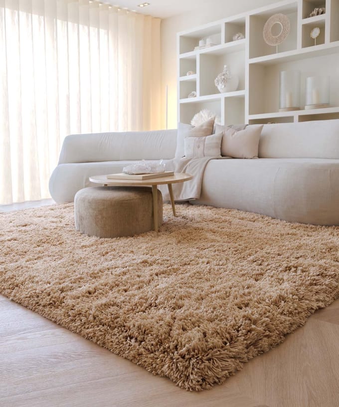 Shaggy vloerkleed - Sveve beige 120x170