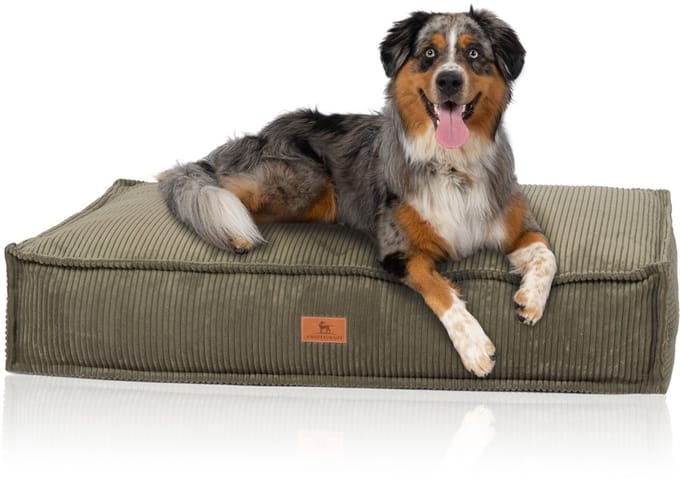 Knuffelwuff hondenkussen Lesedi van ribfluweel met handgeweven uiterlijk 80x60 cm khaki