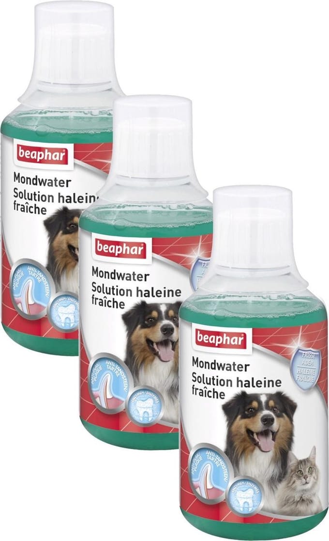 Beaphar Mondwater Hond/Kat - Gebitsverzorging - 3 x 250 ml