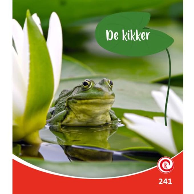 De Kikker - Kijkdoos - Minke van Dam