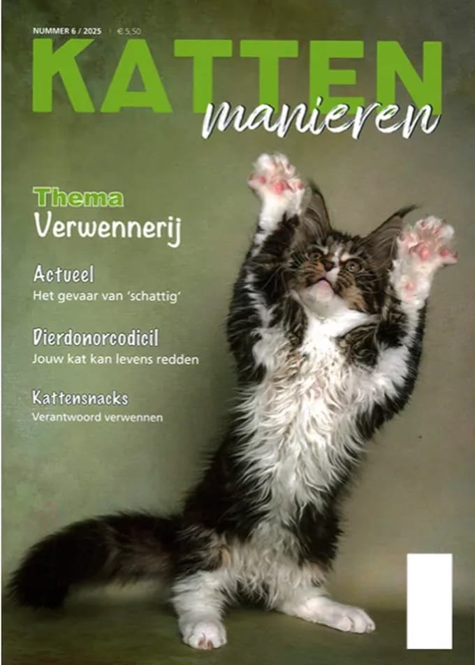 Kattenmanieren - 06 2025