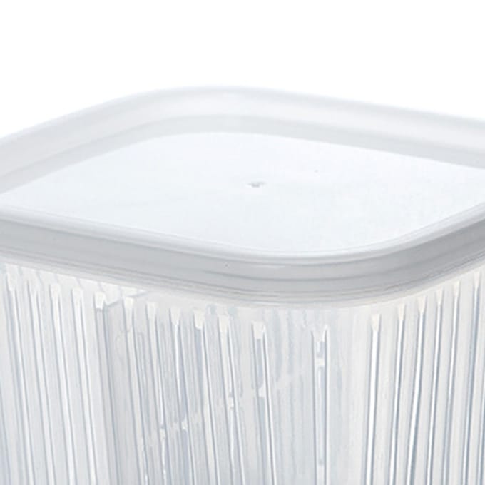 Lente-ui Crisper Afdruipend Verdeeld Multifunctioneel Plastic Lente-ui Vershoudcontainer voor transparant