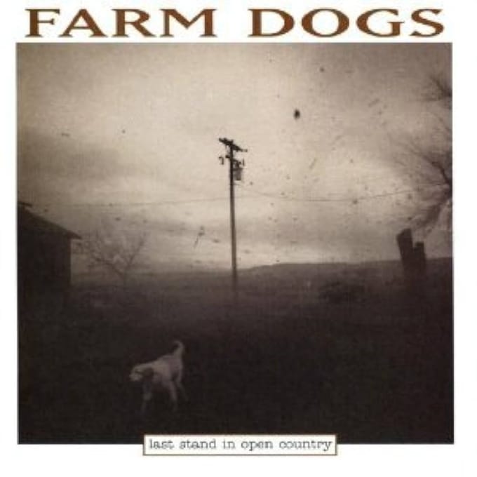 Farm Dogs - Last Stand In Open Country (LP)