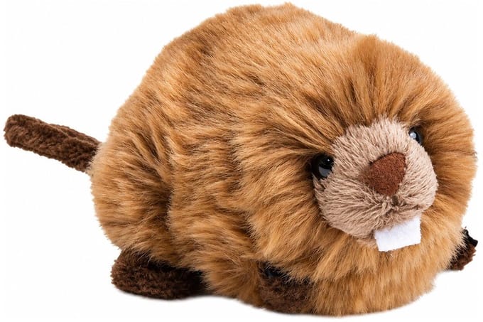 Nature Planet Pluche bruine bever knuffel - 16 cm - dieren/bevers speelgoed