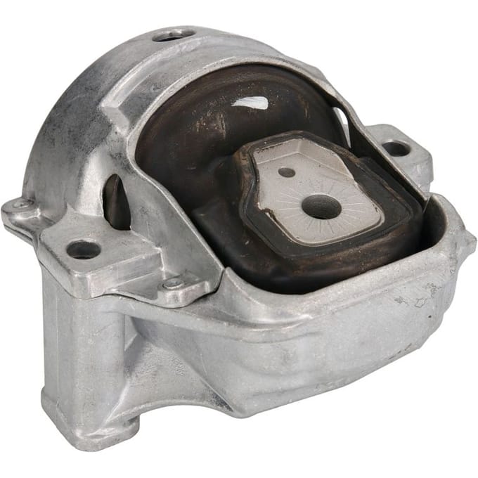 Motorsteun REINHOCH RH11-0142