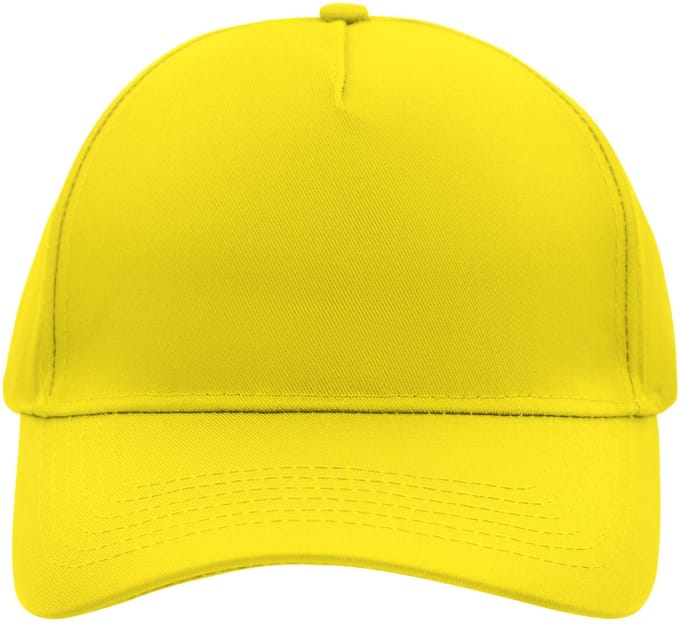 5 panel baseball pet geel