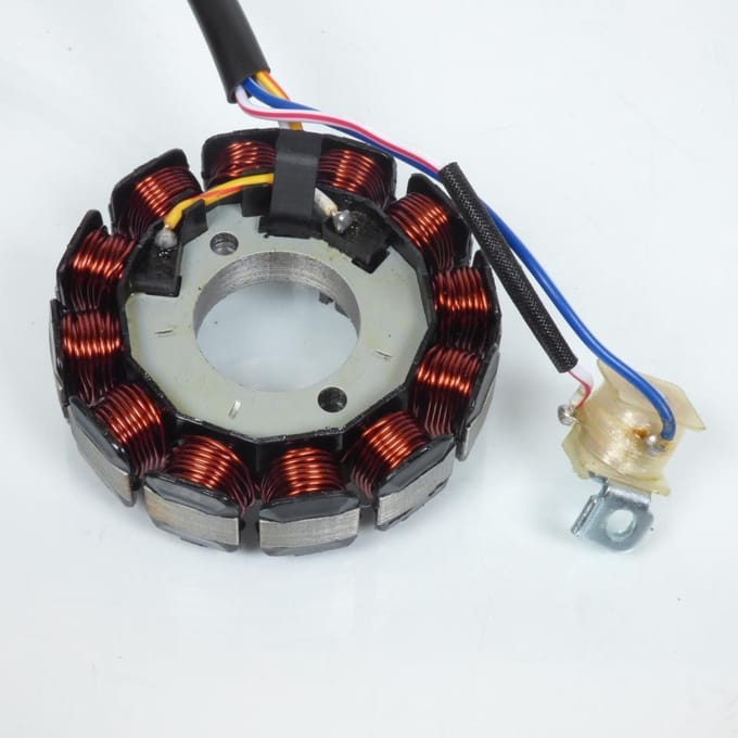 Stator d allumage TNT pour Moto Generic 50 Trigger Sm Neuf