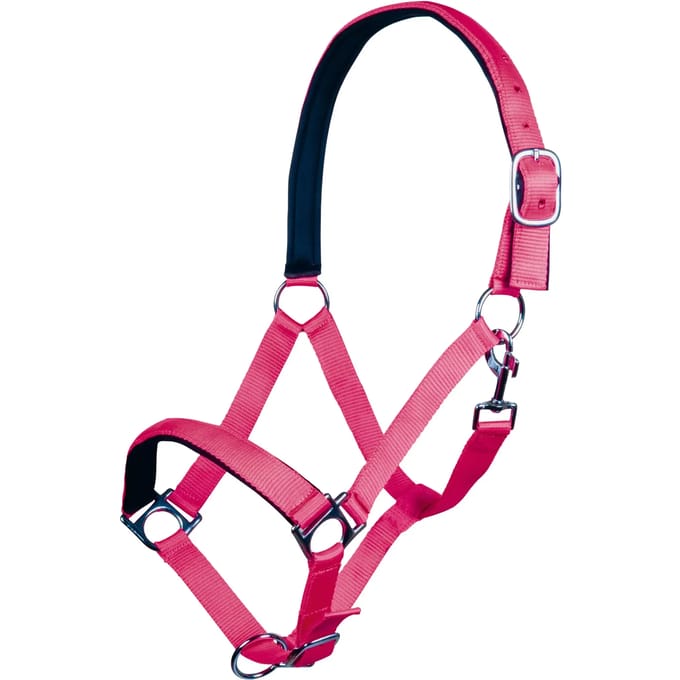 Halster voor paarden HKM Stars Softice