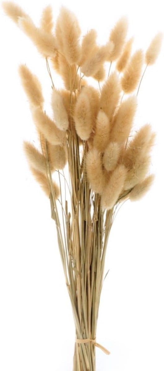 Boeket van gedroogde bloemen Artemio
