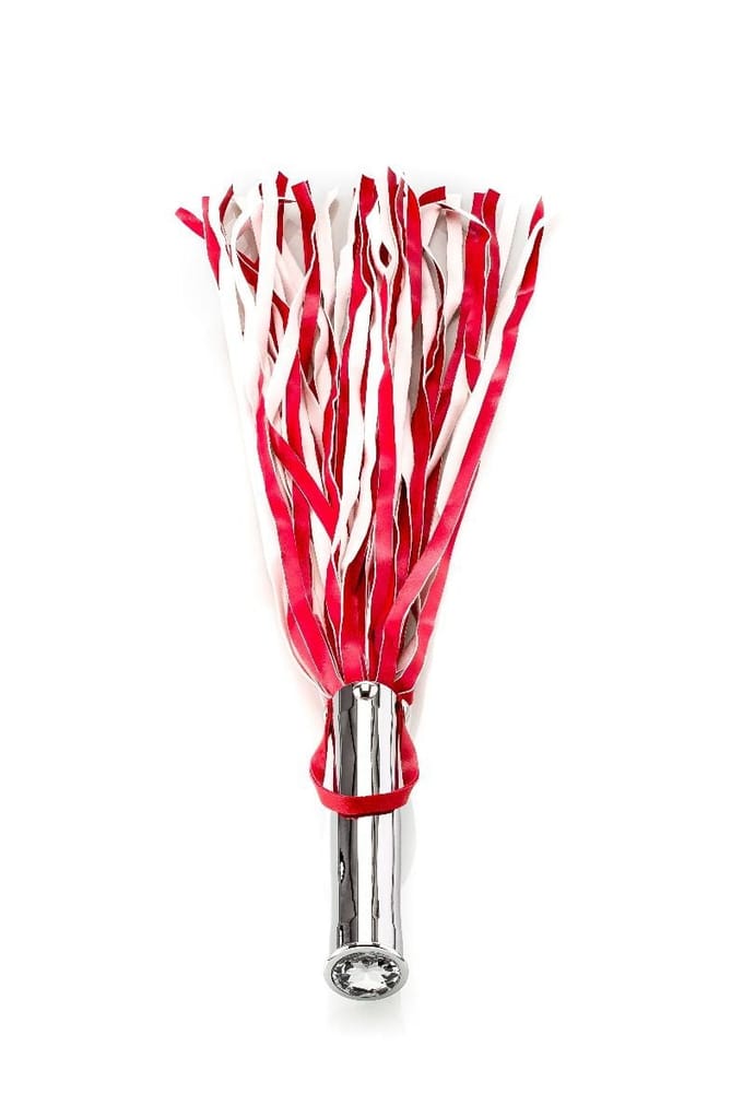 Double Fun Whip met Ribbed Butt Plug