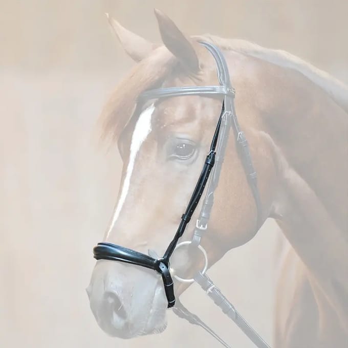 Paardenneusriem Kavalkade
