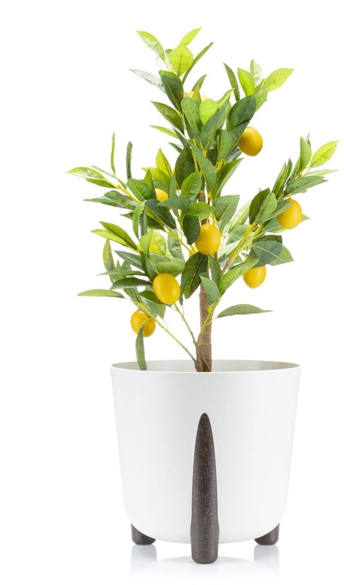 HowHomely Moss Eco - Bloempot - Wit - Recyclebaar